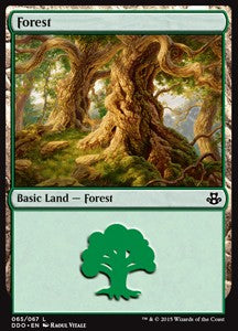 Duel Decks: Elspeth VS. Kiora 065/067 Forest