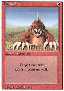 Revised (3rd Edition) - Burrowing