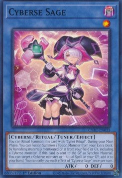 Cyberse Sage (CYAC-EN033)