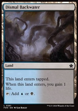 Magic the Gathering Foundations 0261 Dismal Backwater