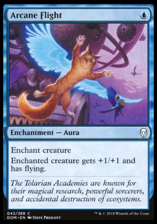 Dominaria 043/269 Arcane Flight