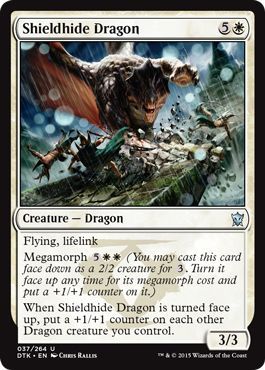 Dragons of Tarkir 037/264 Shieldhide Dragon