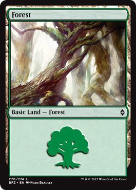 Battle for Zendikar 270/274 Forest