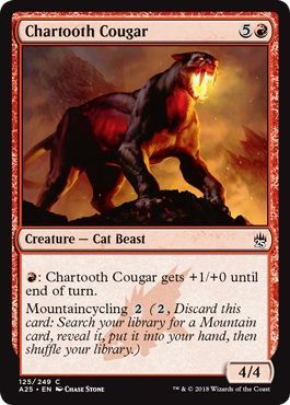 Masters 25 125/249 Chartooth Cougar