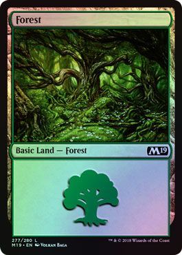 Core Set 2019 277/280 Forest (Foil)