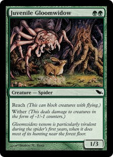 Shadowmoor 121/301 Juvenile Gloomwidow