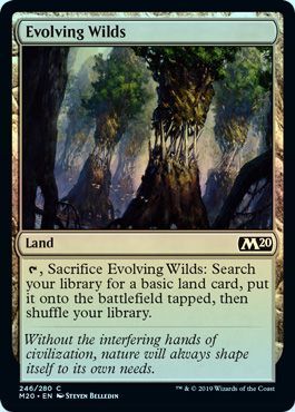 Core Set 2020 246/280 Evolving Wilds (Foil)