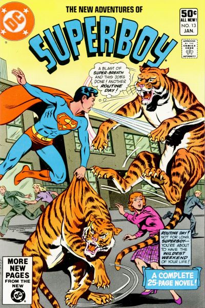 The New Adventures of Superboy #13 DC Comics (1980)