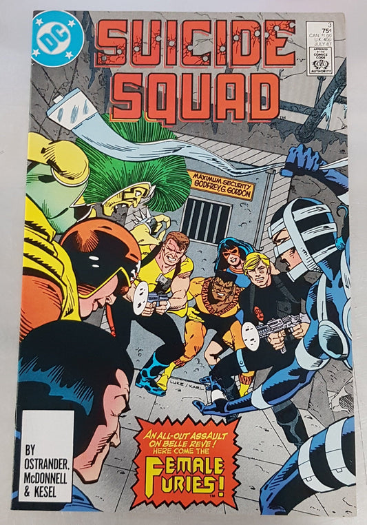 Suicide Squad #3 DC Comics (1987)