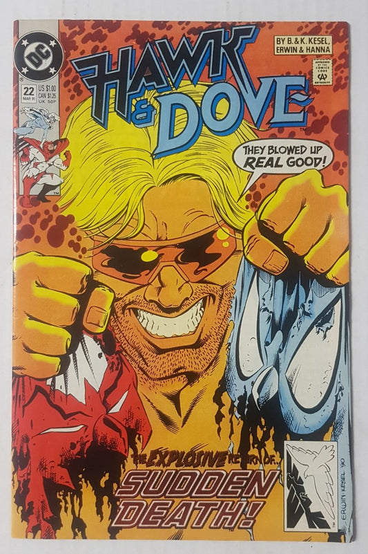 Hawk and Dove #22 DC Comics (1989)