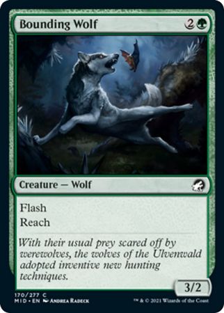 Innistrad: Midnight Hunt 170/277 Bounding Wolf