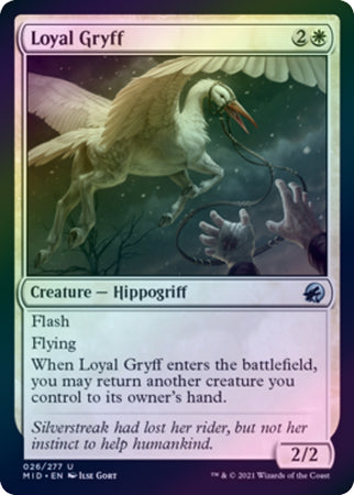 Innistrad: Midnight Hunt 026/277 Loyal Griff (Foil)