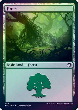 Innistrad: Midnight Hunt 384 Forest (Foil)