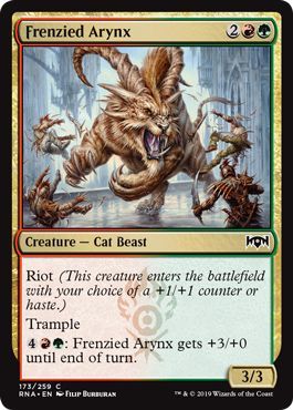 Ravnica Allegiance 173/259 Frenzied Arynx