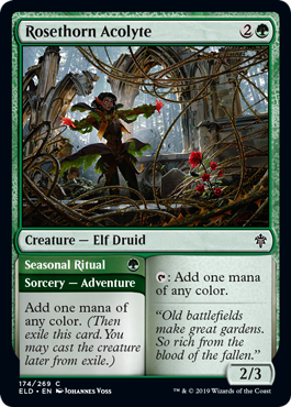 Throne of Eldraine 174/269 Rosethorn Acolyte