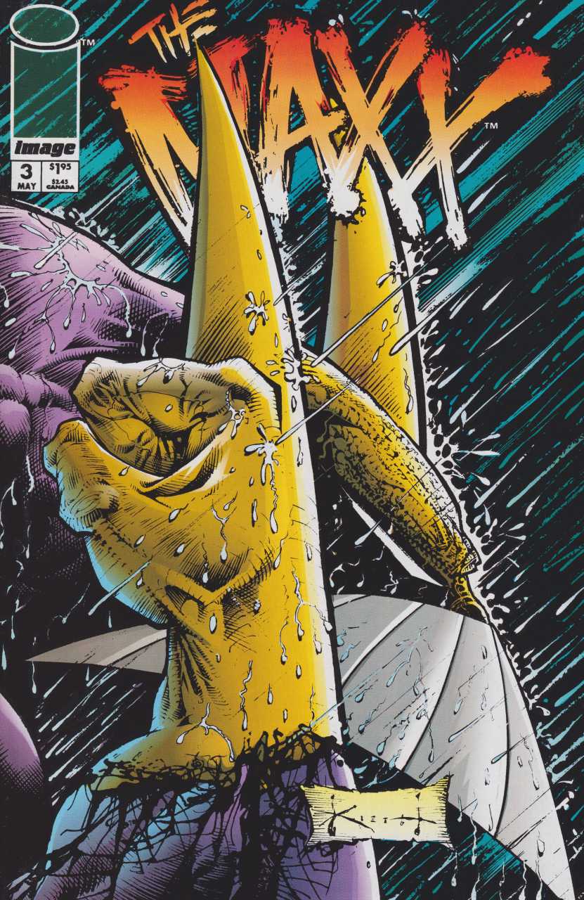 The Maxx #3 Image (1993)