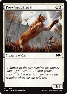 Ravnica Allegiance 017/259 Prowling Caracal