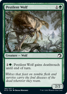 Innistrad: Midnight Hunt 192/277 Pestilent Wolf