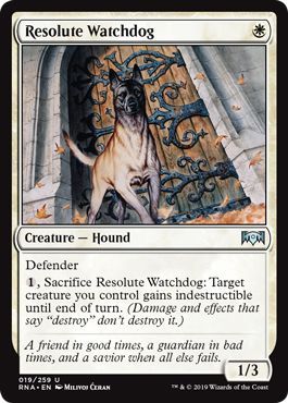 Ravnica Allegiance 019/259 Resolute Watchdog