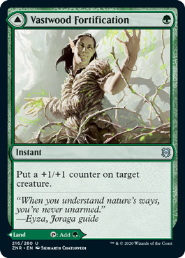 Zendikar Rising 216/280 Vastwood Fortification//Vastwood Thicket