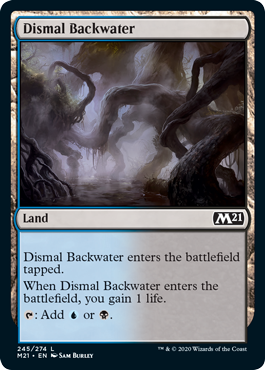 Core Set 2021 245/274 Dismal Backwater