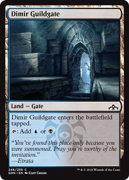 Guilds of Ravnica 246/259 Dimir Guildgate