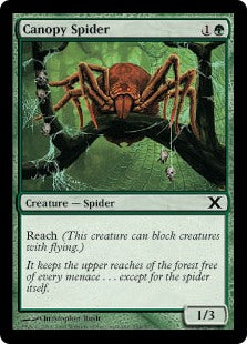 Tenth Edition 254/383 Canopy Spider