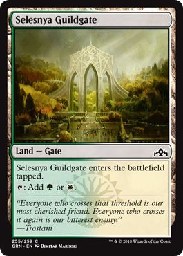 Guilds of Ravnica 255/259 Selesnya Guildgate