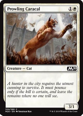 Core Set 2020 309/280 Prowling Caracal (Spellslinger Kit)