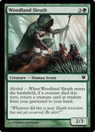 Innistrad 210/264 Woodland Sleuth