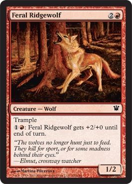 Innistrad 142/264 Feral Ridgewolf