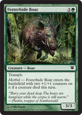 Innistrad 179/264 Festerhide Boar