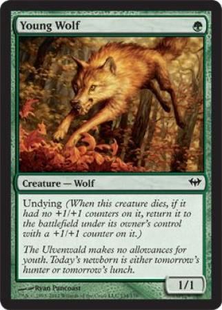 Dark Ascension 134/158 Young Wolf