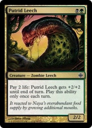 Alara Reborn 095/145 Putrid Leech