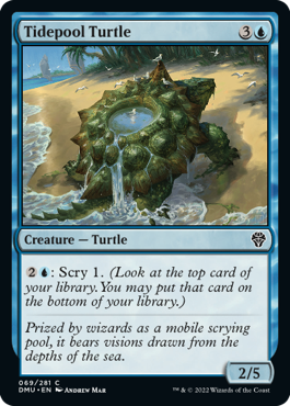 Dominaria United 069/281 Tidepool Turtle