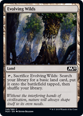 Core Set 2020 246/280 Evolving Wilds