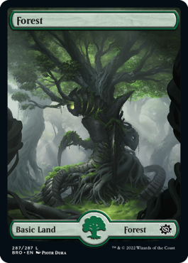 The Brothers' War 287/287 Forest (Full Art)